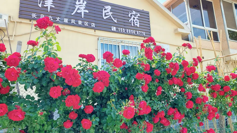 烟台长岛核心景区住宿：步行到九丈崖、月牙湾的民宿实测