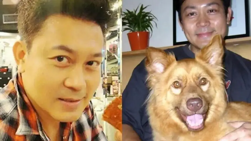 曾伟权离世6年才被想起:无妻无子,23亿遗产全托付古天乐