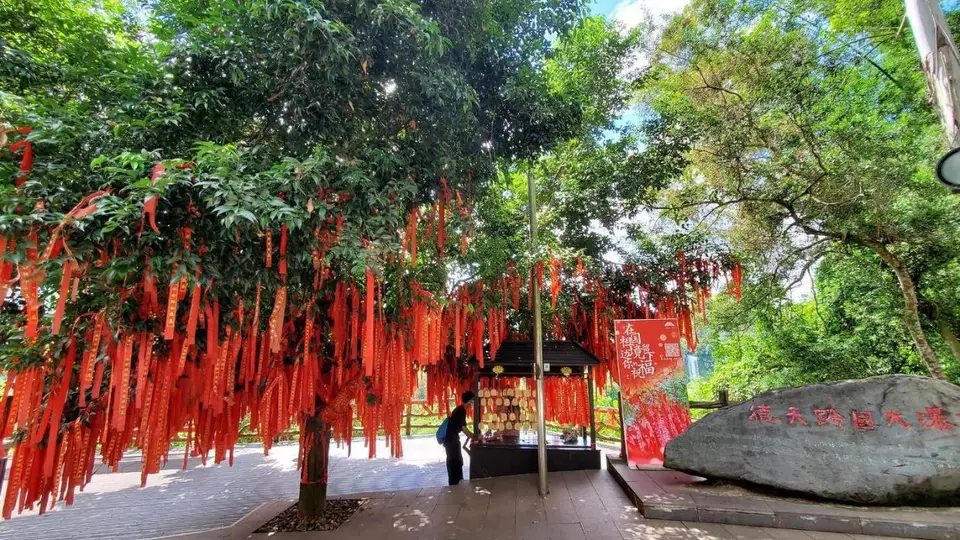 夏季避暑旅游实用指南：科学避暑与安全出行全攻略