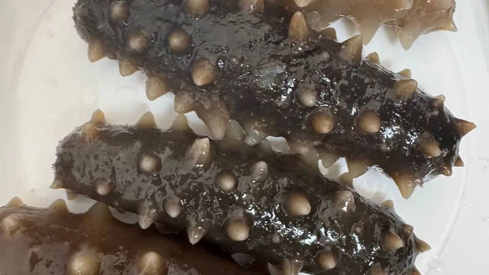 海参怎么吃？不同人群的食用建议