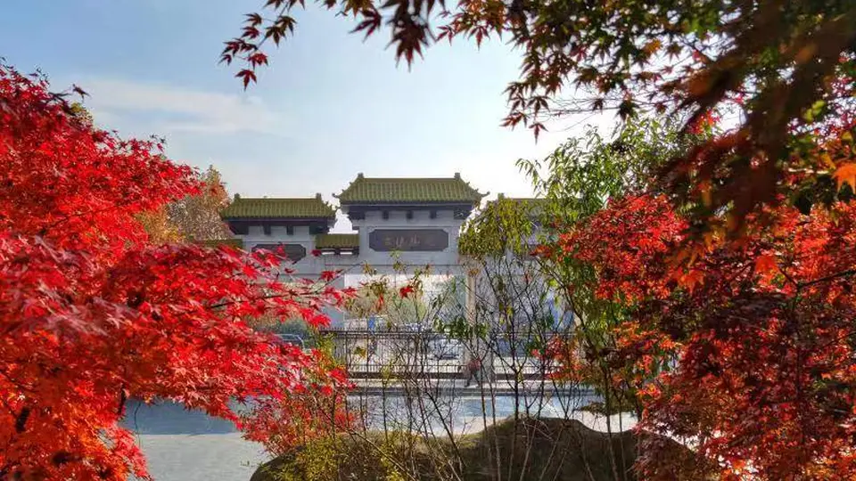连云港人周末打卡新选择！大伊山多元体验解锁全年龄段游玩乐趣