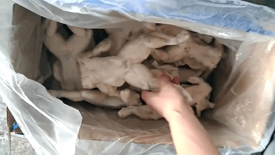 爱吃牛蛙的你要当心！多地抽检曝光禁药超标、造假乱象 监管堵不住凌晨入市漏洞？