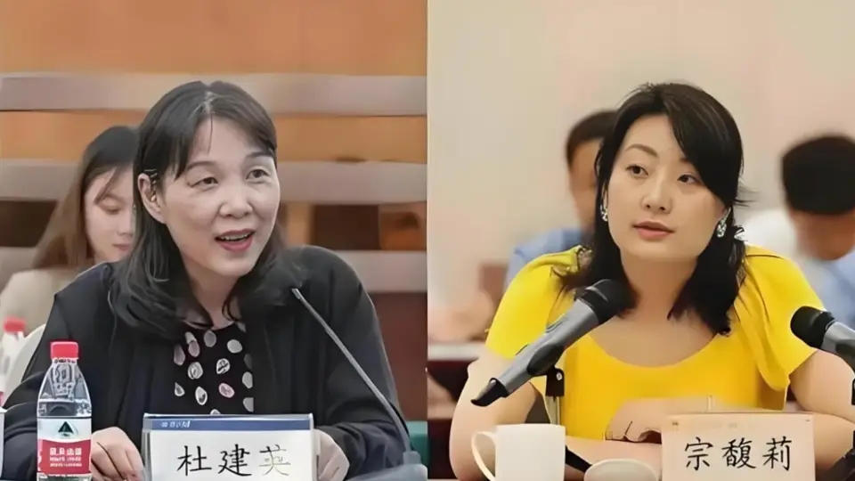 新公司注册引关注！多元动作显发力 娃哈哈相关动态促各界参与讨论