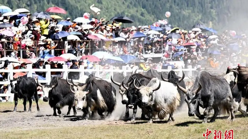 2026四川甘孜山地文化旅游节在道孚县启幕