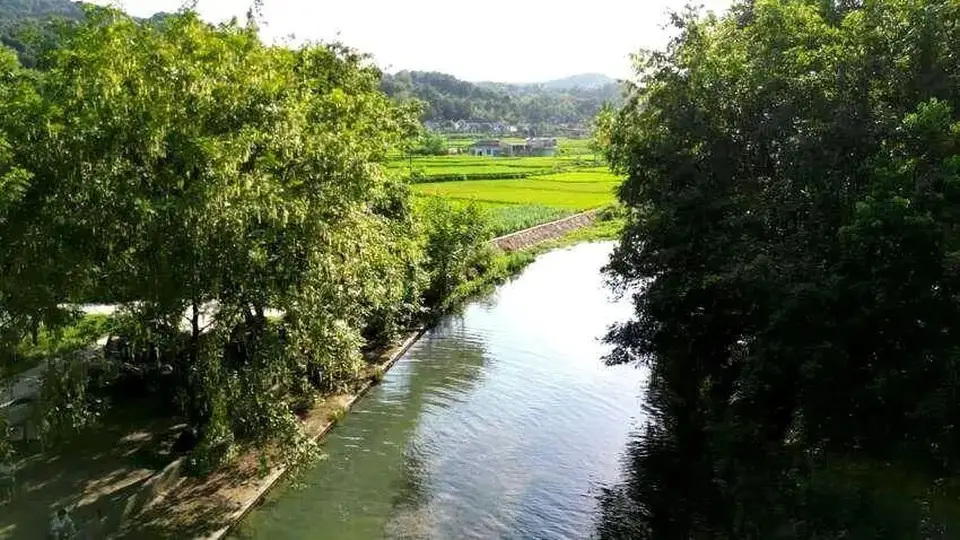 谷城高桥河村夏日亲水露营好去处 逛天然泉眼踩溪水纳凉超惬意