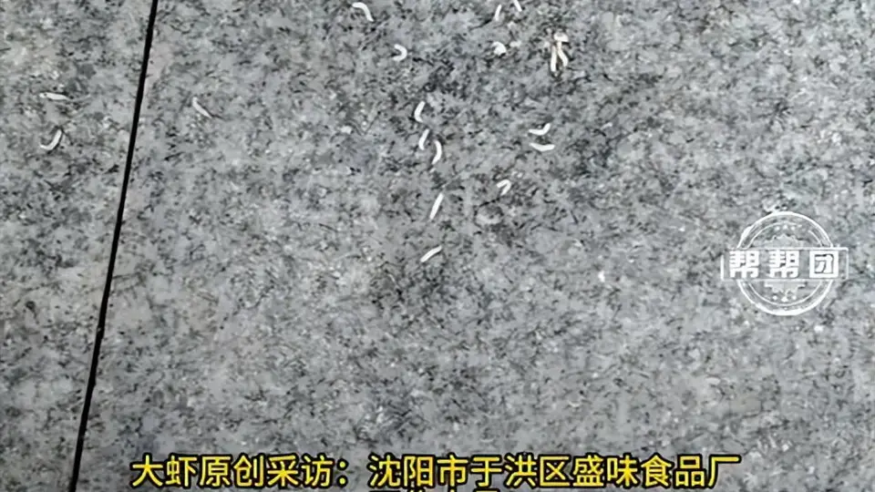 沈阳盛味食品厂供货托盘现腐肉蛆虫,涉事自助烤肉店相关食材受影响,当地市监介入后工厂停工整改
