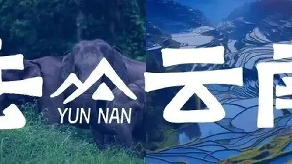 8月赴滇玩咖嘉年华 参与多元咖啡活动解锁各地风情