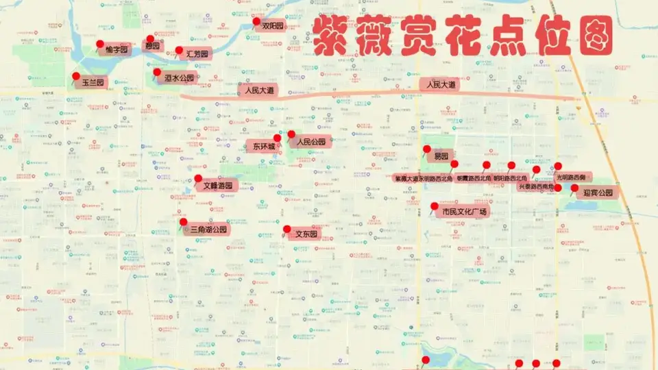 收藏！安阳最全紫薇赏花地图，打卡不迷路