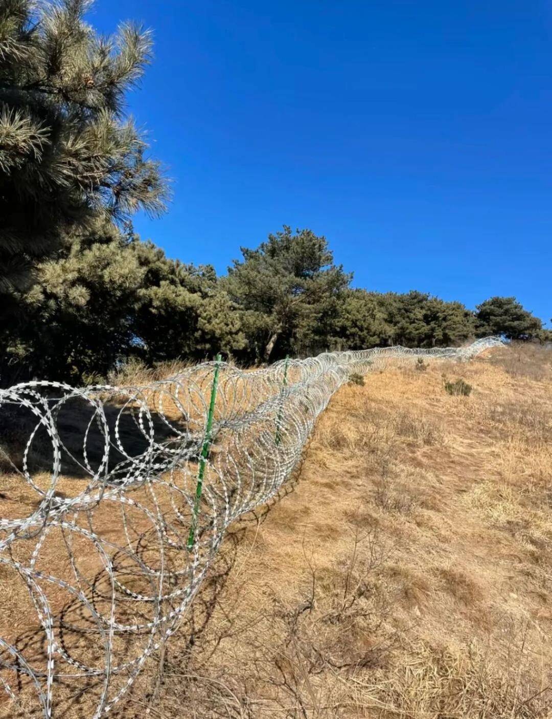三问泰山景区的滚筒式刀片铁丝网