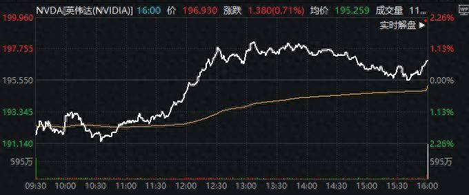 沉睡巨人正在苏醒？英伟达逆势抗跌 看涨期权酝酿“大干一场”