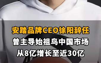 【安踏品牌CEO徐阳辞任，曾主导始祖鸟中国市场从8亿增长至近30亿】