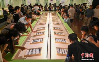 广东省博物馆“虫友——寻访甲虫世界”专题展开展