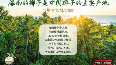 参与椰子水知识解锁！2000年海南高种椰产区 跟着聊透这些实用小常识