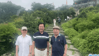 唐国强、王伍福、卢奇三位著名表演艺术家参观青岩古镇