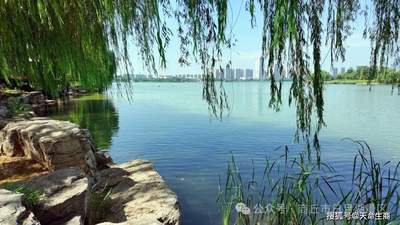 一不小心,撞入商丘日月湖景区的绿荫秘境
