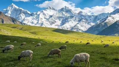 乌鲁木齐本地地接旅行社怎么挑选 新疆南北疆纯玩跟团旅游靠谱机构盘点