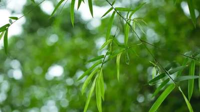 夜读 | 《飘》中的3句话，藏着向上的密码