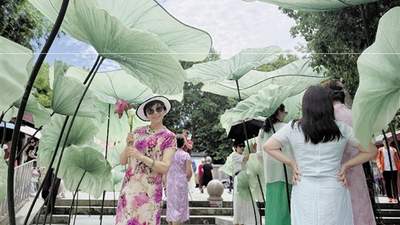 接天莲叶，触手可及