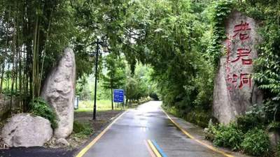河南一景区开启暑期宠客模式，可报销高速过路费：准备了50万元，单车最高可报120元