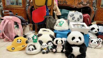 到大陆旅游很危险？看熊猫、吃火锅 一对台湾母女在四川打破“信息茧房”