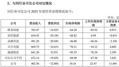 阿特斯回复2025年年报问询函：美国新法案冲击下 公司将变身“包租公”