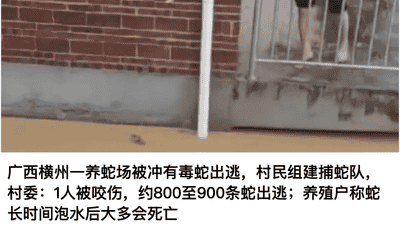 被文旅部通报点名后，壶口瀑布、稻城亚丁、武当山等多景区下调摆渡车收费价格