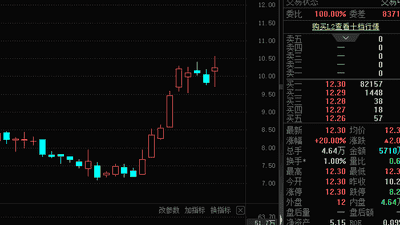 拟重大资产重组，300214，“20cm”涨停