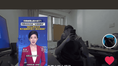 招到人了！住山顶30天当“云海观察员”，月薪6万元、吃住全包
