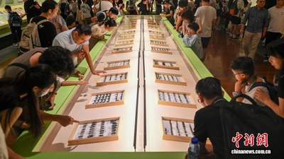 广东省博物馆“虫友——寻访甲虫世界”专题展开展