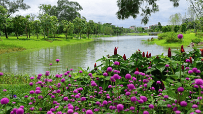 广州花都香水花园开园迎客，八大主题园区打造芳香疗愈空间