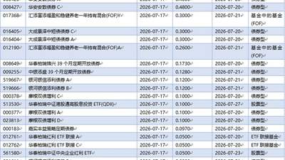 长鑫科技上市在即 公募基金看好估值合理“必配”机遇