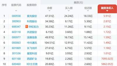 杠杆资金出逃科技股，中际旭创、兆易创新、东山精密等23只龙头成重灾区，“易中天”单日偿还达120亿，专家：对科技龙头不应太悲观