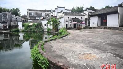 海外华文媒体探访中国最大诸葛亮后裔聚居地