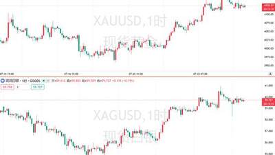 金银反弹难持续 分析师警告别乐观点