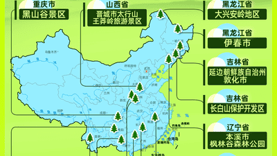 去广西这两处森林秘境避暑 体验高氧康养与清凉徒步乐趣