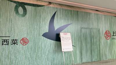 48元6只小笼包鼎泰丰再闭店！海外靠本土化创新爆火，中国观众如何看待这场餐饮热度反差