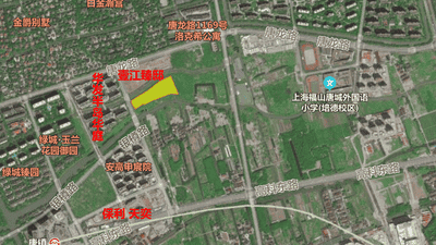 上海第七批次土拍多元活动引关注 优质地块成场内外参与者争抢“香饽饽”