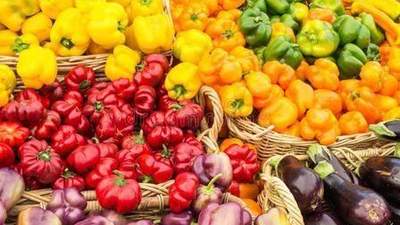 夏秋交替家常饮食怎么搭？跟着营养师get均衡又好做的搭配小技巧