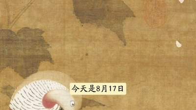 图知道｜《芙蓉锦鸡图》：芙蓉锦鸡 秋色如锦