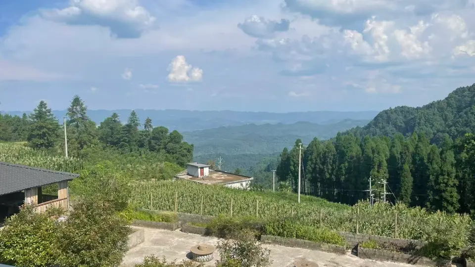 贵阳西山村迎来首批省外避暑客,开启避暑经济新篇章