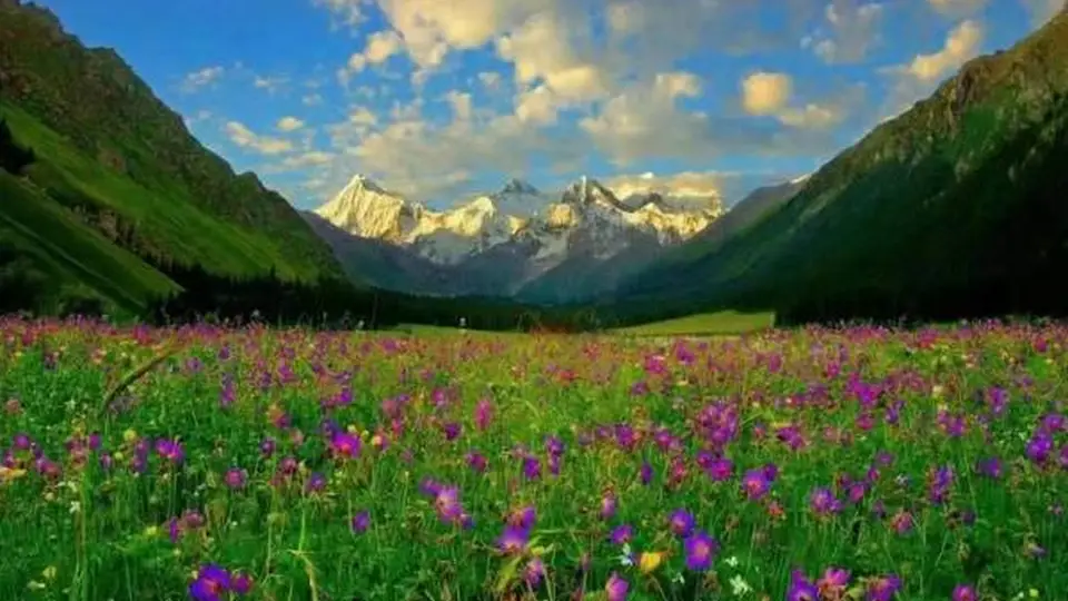 伊犁河谷全域详细旅游攻略:四季风景各异,春花秋叶冬雪夏草,深度自驾与徒步路线及食宿指南