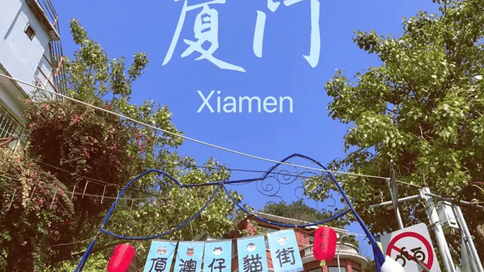 从郑州到厦门全攻略：交通住宿景点美食一次说清