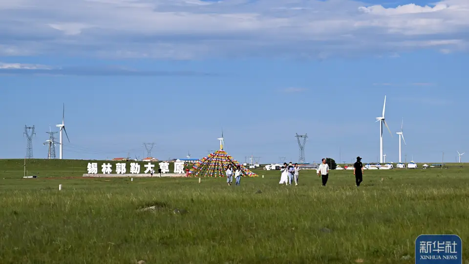 锡林郭勒大草原夏日即景
