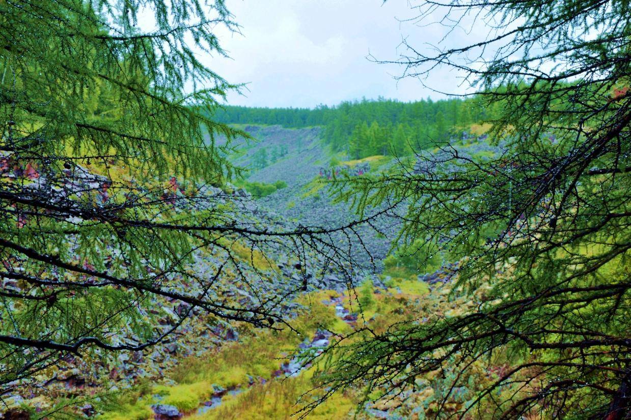 阿尔山生态大峡谷