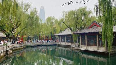 来泉城赴一场文旅之约 逛七十二名泉赏老城风光 你有没有来过济南