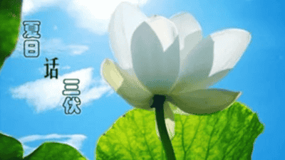 快入伏了，要多吃碱性菜！分享8道碱性凉拌菜做法，清热去燥安稳入伏！
