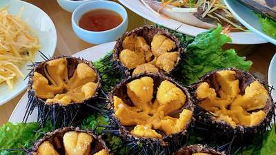 长岛渔家乐含三餐价格大揭秘，这家正规民宿，海鲜天天不重样