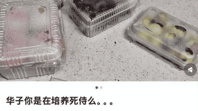 实习生薪资万元起步，华为字节抢人太狠！苦逼车企差多少？
