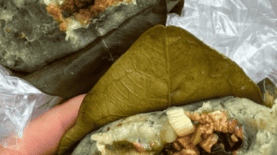 来湘西春日尝鲜！参与蒿子粑粑制作，亲手解锁软糯清香的古法小技巧