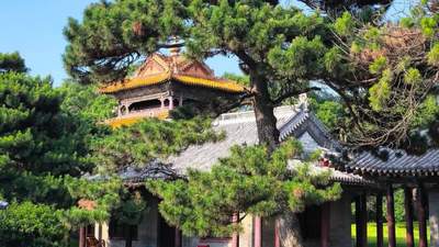 来沈阳过凉爽暑假：3天2晚逛吃避暑，解锁多元参与式清凉体验